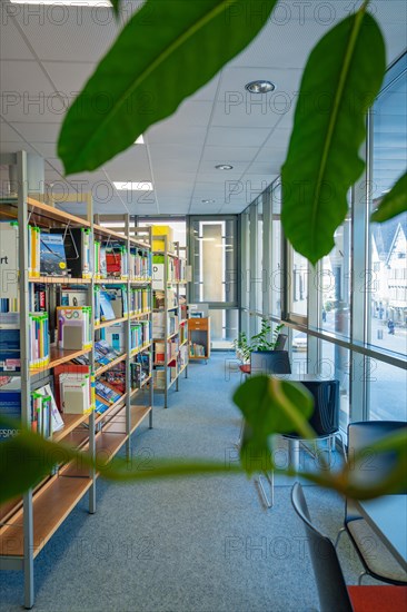 Library with green plants and bookshelves in daylight with a view outside, Black Forest, Nagold, Germany, Europe