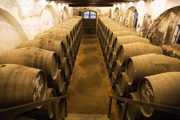 Oak barrels of maturing sherry wine in cellar, Gonzalez Byass bodega, Jerez de la Frontera, Cadiz province, Spain, Europe