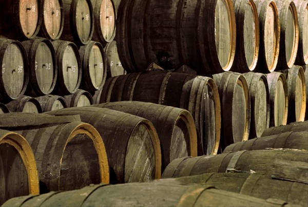 Wooden barrels in storage cellar of brewery with the Belgian beer Geuze, Belgium, Europe