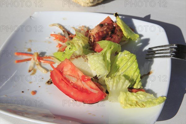 Plate of salad meal half finished Cordoba, Spain, Europe