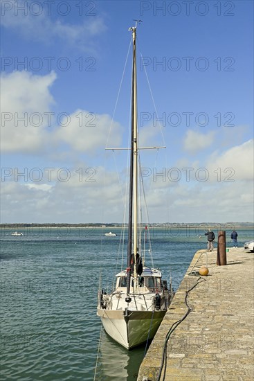 Ships and boats at quay walls, Le Croisic, Loire-Atlantique, Pays de la Loire, France, Europe