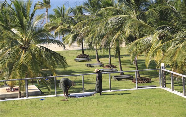 Amaya Beach Resort and Spa hotel, Pasikudah Bay, Eastern Province, Sri Lanka, Asia staff tending sedum grass roof garden, Asia