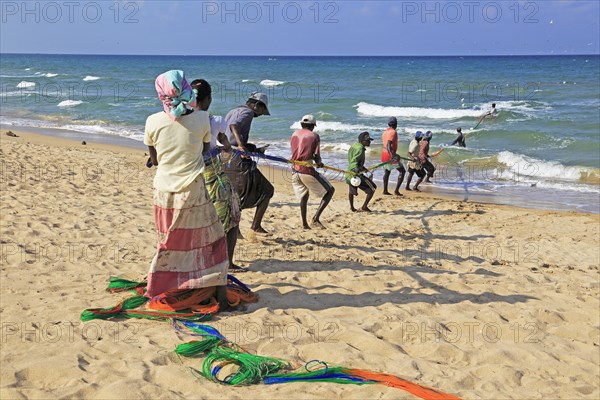 Traditional fishing hauling nets Nilavelli beach, near Trincomalee, Eastern province, Sri Lanka, Asia