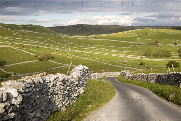 Country lane and dry stonewalls, Malham, Yorkshire Dales national park, England, UK