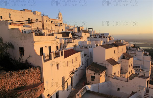 Pueblo blanco historic village whitewashed houses on hillside, Vejer de la Frontera, Cadiz Province, Spain, Europe