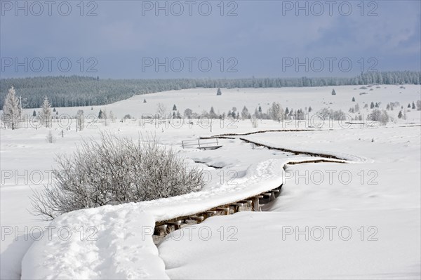 Winding wooden boardwalk in snow covered moorland in nature reserve High Fens, Hautes Fagnes in winter, Belgian Ardennes, Belgium, Europe