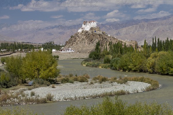 Stakna Gompa, the Buddhist monastery located on a hill above the Indus River in the central part of Ladakh. It belongs to the Drukpa Lineage of the Tibetan Buddhism. Photographed in mid-September, the late summer. Leh District, Union Territory of Ladakh, India, Asia