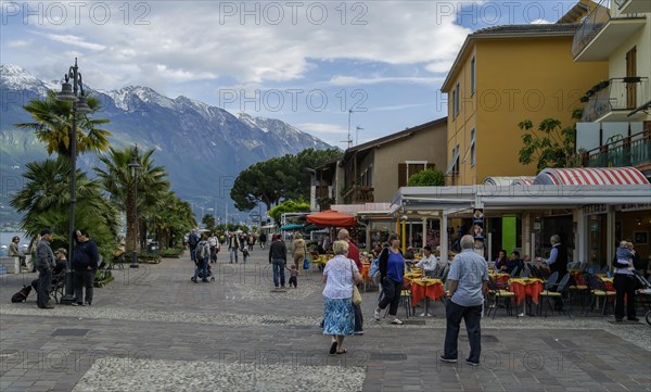 Lakeside promenade in Limone sul Garda, Lake Garda, Garda Mountains, Province of Brescia, Lombardy, Italy, Europe