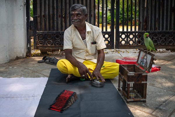 Fortune teller with parrot, former French colony Pondicherry or Puducherry, Tamil Nadu, India, Asia