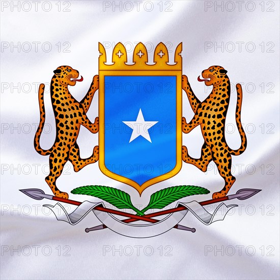 Africa, African Union, the coat of arms of Somalia, Studio