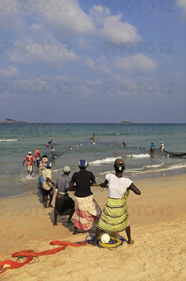 Traditional fishing hauling nets Nilavelli beach, near Trincomalee, Eastern province, Sri Lanka, Asia