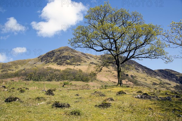 Landscape view of High Snockrigg Fell hill Buttermere, Cumbria, England, UK