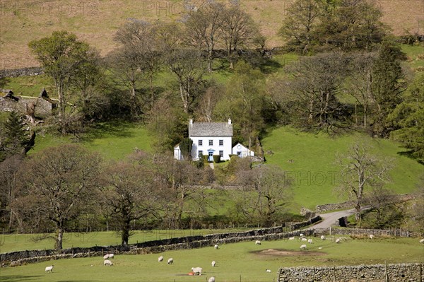 White detached farmhouse, Boredale valley, Martindale, Lake District national park, Cumbria, England, UK