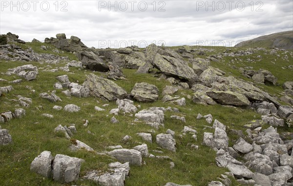 Norber erratics glacial deposition, Austwick, Yorkshire Dales national park, England, UK