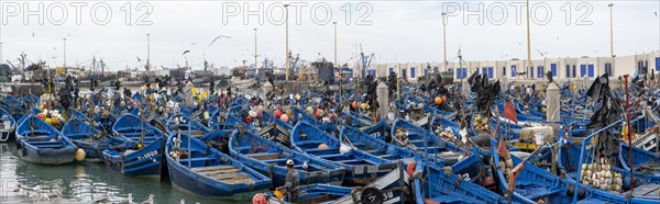 Traditional blue fishing boats in the harbour, Essaouira, Morocco, Africa