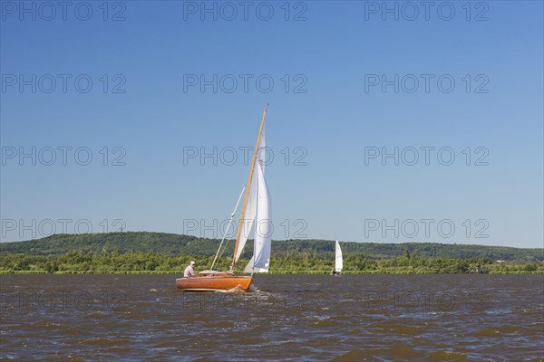 Elderly sailor in wooden sailing boat, sailboat sailing in summer on Lake Steinhude, Steinhuder Meer, Mardorf, Lower Saxony, Niedersachsen, Germany, Europe