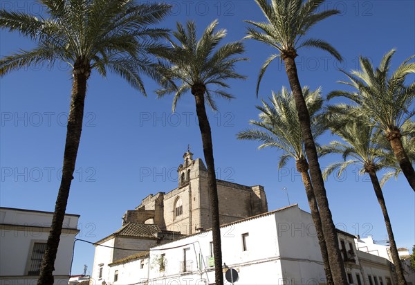 Historic church in Plaza del Mercado, Barrio de Santiago, Iglesia de San Mateo, Jerez de la Frontera, Spain, Europe