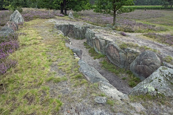 Passage grave at Oldendorfer Totenstatt, group of six burial mounds and megalith sites in Oldendorf near Amelinghausen, Lueneburg Heath, Lower Saxony, Germany, Europe