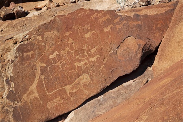 Lion Plate with Lion Man, iconic engravings at Twijfelfontein, Namibia, South Africa, Africa