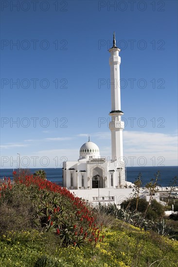 Mosque of the Custodian of the Two Holy Mosques, Europa Point, Gibraltar, British overseas territory in southern Europe, Europe