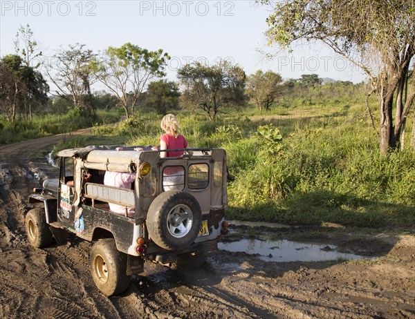 Elephant safari in Hurulu Eco Park biosphere reserve, Habarana, Anuradhapura District, Sri Lanka, Asia