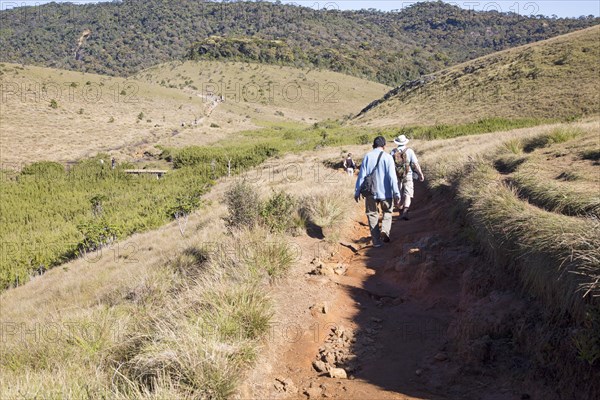 Walkers in Horton Plains national park montane grassland environment, Sri Lanka, Asia