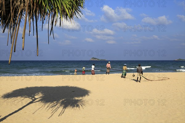 Traditional fishing hauling nets Nilavelli beach, near Trincomalee, Eastern province, Sri Lanka, Asia