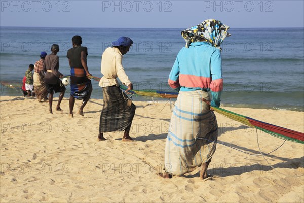 Traditional fishing hauling nets Nilavelli beach, near Trincomalee, Eastern province, Sri Lanka, Asia