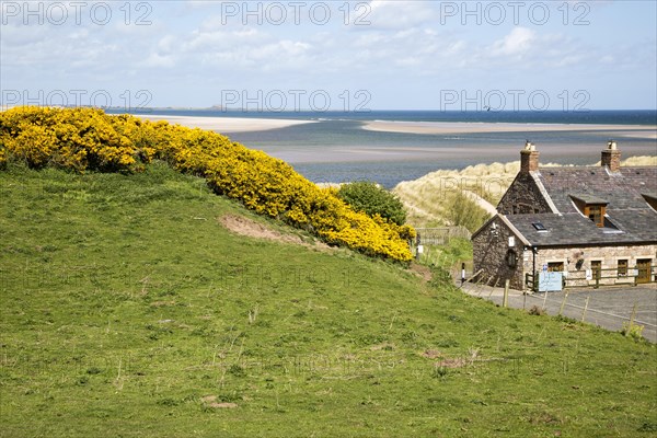 Coastal landscape at Budle Bay, Northumberland coast, England, UK