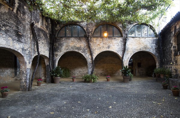 Historic courtyard with grapevines, Gonzalez Byass bodega, Jerez de la Frontera, Cadiz province, Spain, Europe