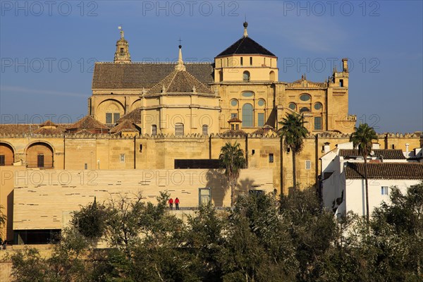 Historic Mezquita cathedral buildings, Great Mosque, Cordoba, Spain, Europe