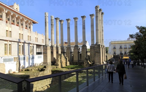 Columns of Roman temple remains, Templo Romano, Cordoba, Spain, Europe