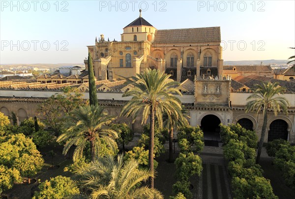 Raised angle view of Great Mosque, Mezquita cathedral, former mosque building in central, Cordoba, Spain, Europe