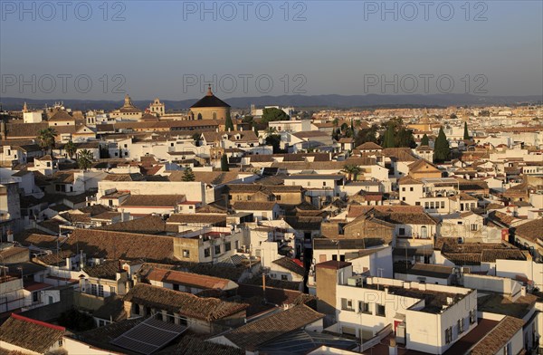 Oblique raised angle view of historic city centre buildings, Cordoba, Spain, Europe