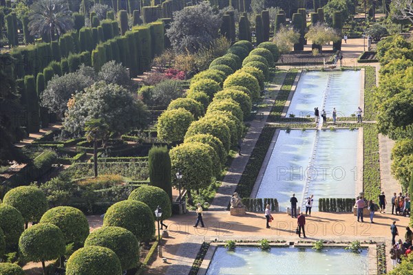 Gardens of the Alcazar de los Reyes Cristianos, Alcazar, Cordoba, Spain, Europe