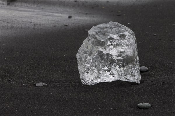 A piece of glacial ice, melting on the black sand beach near Joekulsarlon glacial lake on the Atlantic Ocean coast, known as diamond beach. Photographed in summer. Sveitarfelagio Hornafjoerour, Suourland, Southern Region, Iceland, Europe