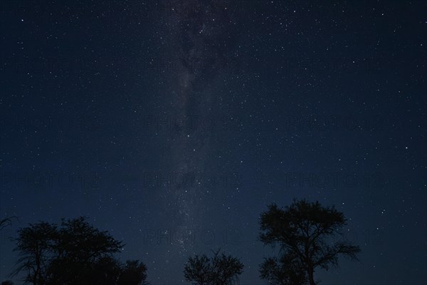 The Milky Way stands out clearly in the night sky, Namibia, Africa