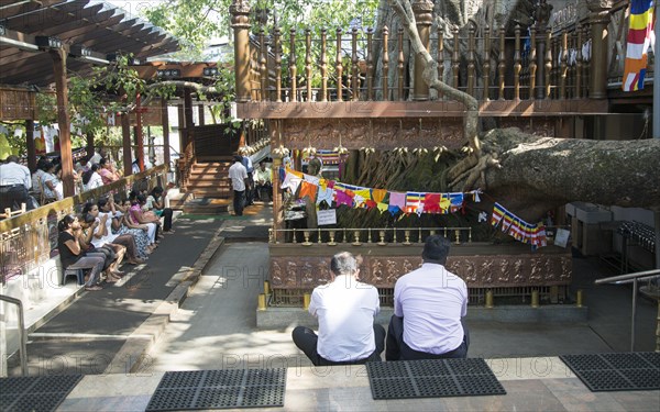 Gangaramaya Buddhist Temple, Colombo, Sri Lanka, Asia