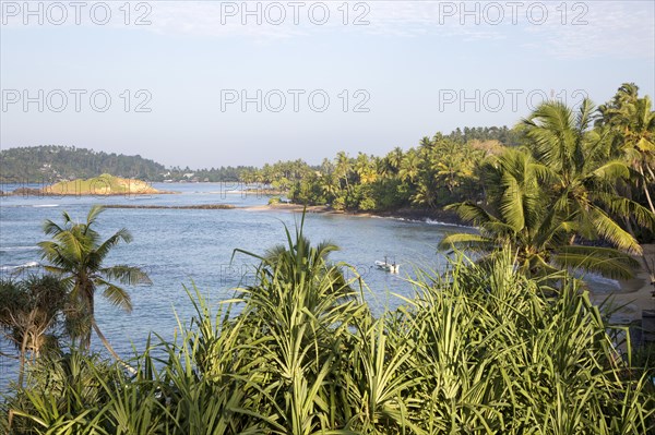 Tropical landscape of palm trees and blue ocean, Mirissa, Sri Lanka, Asia
