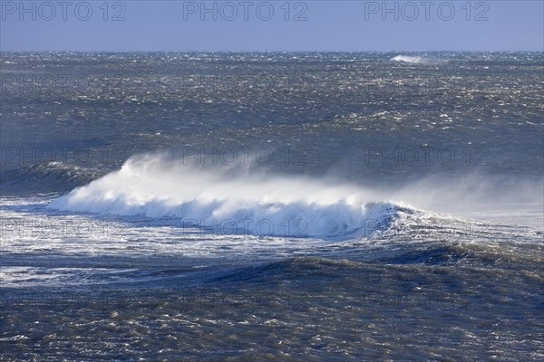 Wave crest at Arctic sea showing airborne spray and spindrift due to high winds