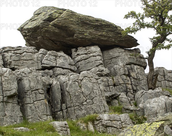 Norber erratics glacial deposition, Austwick, Yorkshire Dales national park, England, UK