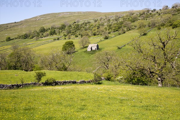 Attractive countryside in Langstrothdale, Yorkshire Dales national park, England, UK