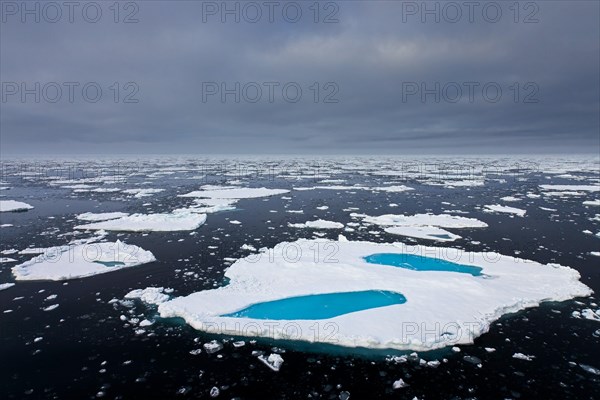 Aerial view over sea ice, drift ice, ice floes with melt ponds containing freshwater in the Arctic Ocean, Nordaustlandet, Svalbard, Spitsbergen
