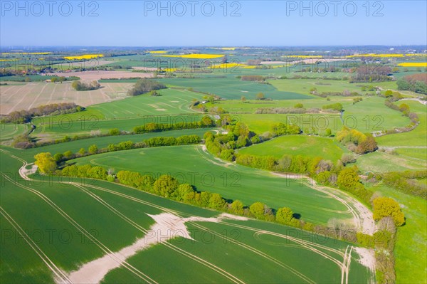 Aerial view over rural bocage landscape with fields and pastures, patchwork of plots surrounded by hedges and hedgerows, Schleswig-Holstein, Germany, Europe