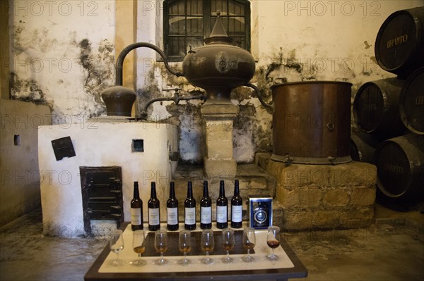 San Bruno brand brandy cognac production in Gonzalez Byass bodega, Jerez de la Frontera, Cadiz province, Spain, Europe