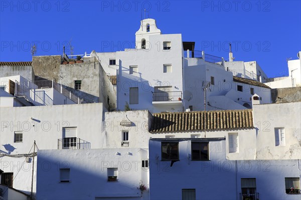 Pueblo blanco historic village whitewashed houses on hillside, Vejer de la Frontera, Cadiz Province, Spain, Europe