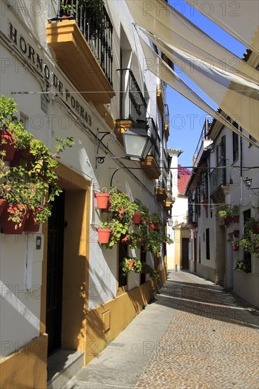 Attractive shaded houses cobbled street in of part of city, Horno de Porras, Cordoba, Spain, Europe