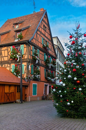 Half-timbered house with Christmas decorations and Christmas tree, Colmar, Alsace, France, Europe