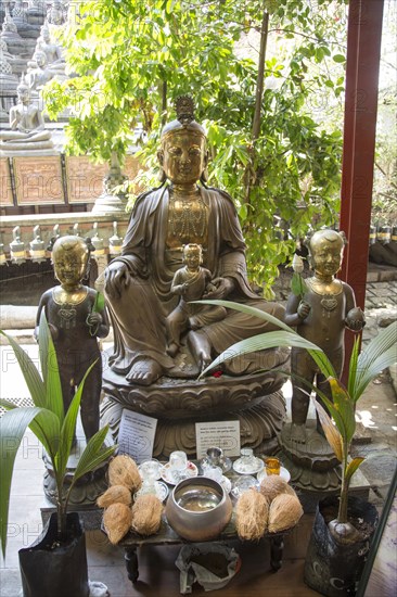 Buddha statues Gangaramaya Buddhist Temple, Colombo, Sri Lanka, Asia