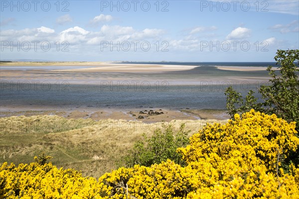 Coastal landscape of tidal sands, Budle Bay, Northumberland coast, England, UK